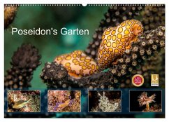 Poseidon's Garten (Wandkalender 2025 DIN A2 quer), CALVENDO Monatskalender