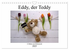 Eddy, der Teddy - 12 Bilder zum Schmunzeln (Wandkalender 2025 DIN A4 quer), CALVENDO Monatskalender - Calvendo;Immephotography