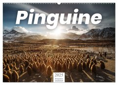 Pinguine - Die sympathischen Frack-Träger (Wandkalender 2025 DIN A2 quer), CALVENDO Monatskalender - Calvendo;Lederer, Benjamin