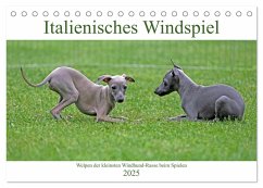 Italienisches Windspiel (Tischkalender 2025 DIN A5 quer), CALVENDO Monatskalender - Calvendo;Eppele, Klaus