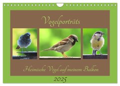 Vogelporträts - Heimische Vögel auf meinem Balkon (Wandkalender 2025 DIN A4 quer), CALVENDO Monatskalender