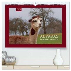 Alpakas - liebenswert und schön (hochwertiger Premium Wandkalender 2025 DIN A2 quer), Kunstdruck in Hochglanz