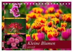 Kleine Blumen ganz groß (Tischkalender 2025 DIN A5 quer), CALVENDO Monatskalender - Calvendo;Reznicek, M.