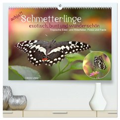 achja?! Schmetterlinge, exotisch, bunt und wunderschön (hochwertiger Premium Wandkalender 2025 DIN A2 quer), Kunstdruck in Hochglanz - Calvendo;Löwer, Sabine