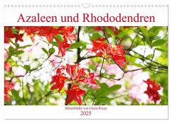 Azaleen und Rhododendren Blütenbilder (Wandkalender 2025 DIN A3 quer), CALVENDO Monatskalender