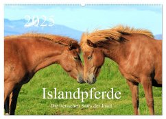 Islandpferde - Die tierischen Stars der Insel (Wandkalender 2025 DIN A2 quer), CALVENDO Monatskalender