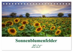 Sonnenblumenfelder (Tischkalender 2025 DIN A5 quer), CALVENDO Monatskalender