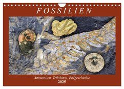 Fossilien - Ammoniten, Trilobiten, Erdgeschichte (Wandkalender 2025 DIN A4 quer), CALVENDO Monatskalender - Calvendo;Frost, Anja