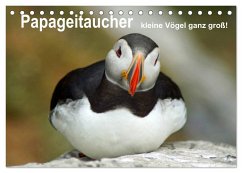 Papageitaucher - kleine Vögel ganz groß! (Tischkalender 2025 DIN A5 quer), CALVENDO Monatskalender