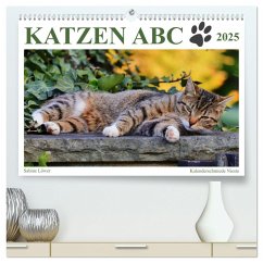 Katzen ABC (hochwertiger Premium Wandkalender 2025 DIN A2 quer), Kunstdruck in Hochglanz