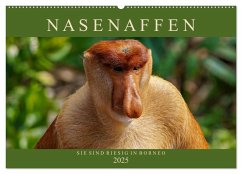 Nasenaffen von Borneo (Wandkalender 2025 DIN A2 quer), CALVENDO Monatskalender