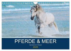 PFERDE & MEER (Wandkalender 2025 DIN A4 quer), CALVENDO Monatskalender - Calvendo;Eckerl Tierfotografie, Petra