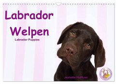 Labrador Welpen - Labrador Puppies (Wandkalender 2025 DIN A3 quer), CALVENDO Monatskalender - Calvendo;Hutfluss, Jeanette