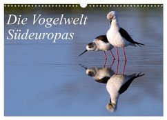 Die Vogelwelt Südeuropas (Wandkalender 2025 DIN A3 quer), CALVENDO Monatskalender - Calvendo;Trapp, Benny