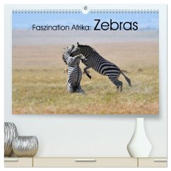 Faszination Afrika: Zebras (hochwertiger Premium Wandkalender 2025 DIN A2 quer), Kunstdruck in Hochglanz