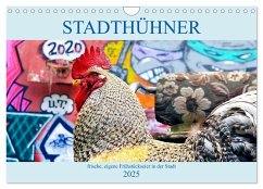 Stadthühner (Wandkalender 2025 DIN A4 quer), CALVENDO Monatskalender - Calvendo;Eder/Busch