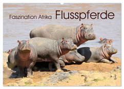 Faszination Afrika: Flusspferde (Wandkalender 2025 DIN A2 quer), CALVENDO Monatskalender