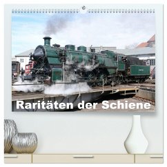 Raritäten der Schiene (hochwertiger Premium Wandkalender 2025 DIN A2 quer), Kunstdruck in Hochglanz