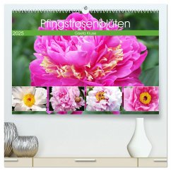 Pfingstrosenblüten (hochwertiger Premium Wandkalender 2025 DIN A2 quer), Kunstdruck in Hochglanz