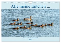 Alle meine Entchen ... Entenparadies Kurisches Haff (Wandkalender 2025 DIN A4 quer), CALVENDO Monatskalender