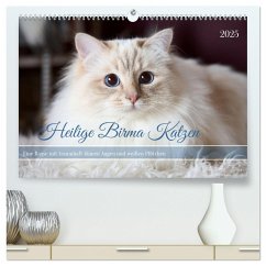 Heilige Birma Katzen mit traumhaft blauen Augen und weißen Pfötchen (hochwertiger Premium Wandkalender 2025 DIN A2 quer), Kunstdruck in Hochglanz - Calvendo;Thoms, Michaela