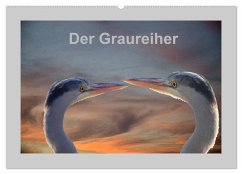 Der Graureiher (Wandkalender 2025 DIN A2 quer), CALVENDO Monatskalender