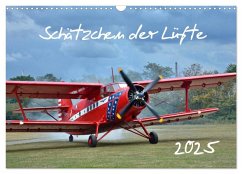 Schätzchen der Lüfte (Wandkalender 2025 DIN A3 quer), CALVENDO Monatskalender