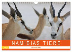 Namibias Tiere - wild im Bild (Wandkalender 2025 DIN A4 quer), CALVENDO Monatskalender