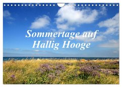 Sommertage auf Hallig Hooge (Wandkalender 2025 DIN A4 quer), CALVENDO Monatskalender