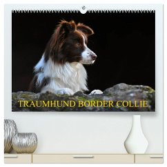 Traumhund Border Collie (hochwertiger Premium Wandkalender 2025 DIN A2 quer), Kunstdruck in Hochglanz - Calvendo;Starick, Sigrid