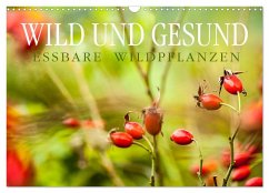 WILD UND GESUND Essbare Wildpflanzen (Wandkalender 2025 DIN A3 quer), CALVENDO Monatskalender