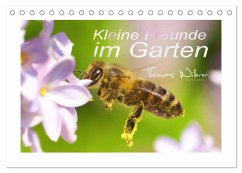 Kleine Freunde im Garten (Tischkalender 2025 DIN A5 quer), CALVENDO Monatskalender - Calvendo;Willerer, Thomas