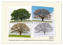 Vier Jahreszeiten der Eiche. (Wandkalender 2025 DIN A2 quer), CALVENDO Monatskalender - Calvendo;Gerlach, Ingo