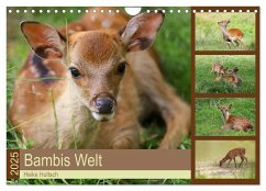 Bambis Welt (Wandkalender 2025 DIN A4 quer), CALVENDO Monatskalender - Calvendo;Hultsch, Heike