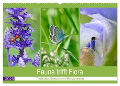 Fauna trifft Flora - Tierischer Besuch im Pflanzenreich (Wandkalender 2025 DIN A2 quer), CALVENDO Monatskalender - Calvendo;B-B Müller, Christine