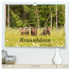 Braunbären in Europa (hochwertiger Premium Wandkalender 2025 DIN A2 quer), Kunstdruck in Hochglanz