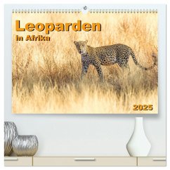 Leoparden in Afrika (hochwertiger Premium Wandkalender 2025 DIN A2 quer), Kunstdruck in Hochglanz