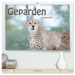 Geparden - schnelle Jäger (hochwertiger Premium Wandkalender 2025 DIN A2 quer), Kunstdruck in Hochglanz