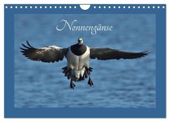 Nonnengänse (Wandkalender 2025 DIN A4 quer), CALVENDO Monatskalender