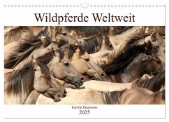 Wildpferde Weltweit (Wandkalender 2025 DIN A3 quer), CALVENDO Monatskalender - Calvendo;Heepmann - www.Karo-Fotos.de, Karolin