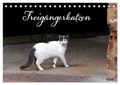 Freigängerkatzen (Tischkalender 2025 DIN A5 quer), CALVENDO Monatskalender