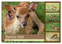 Bambis Welt (Wandkalender 2025 DIN A2 quer), CALVENDO Monatskalender - Calvendo;Hultsch, Heike