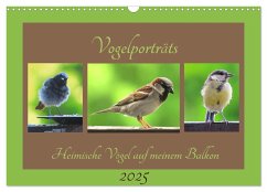 Vogelporträts - Heimische Vögel auf meinem Balkon (Wandkalender 2025 DIN A3 quer), CALVENDO Monatskalender