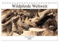 Wildpferde Weltweit (Tischkalender 2025 DIN A5 quer), CALVENDO Monatskalender