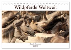 Wildpferde Weltweit (Tischkalender 2025 DIN A5 quer), CALVENDO Monatskalender - Calvendo;Heepmann - www.Karo-Fotos.de, Karolin