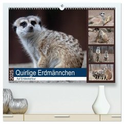 Quirlige Erdmännchen (hochwertiger Premium Wandkalender 2025 DIN A2 quer), Kunstdruck in Hochglanz