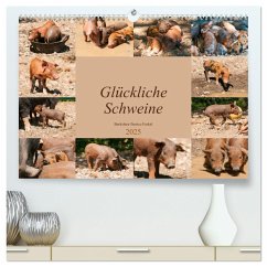 Glückliche Schweine Berkshire-Iberico Ferkel (hochwertiger Premium Wandkalender 2025 DIN A2 quer), Kunstdruck in Hochglanz