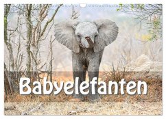 Babyelefanten (Wandkalender 2025 DIN A3 quer), CALVENDO Monatskalender