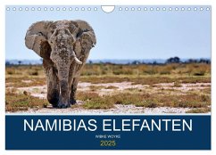 Namibias Elefanten (Wandkalender 2025 DIN A4 quer), CALVENDO Monatskalender