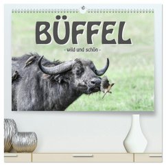 Büffel - wild und schön (hochwertiger Premium Wandkalender 2025 DIN A2 quer), Kunstdruck in Hochglanz